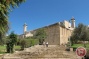 Israeli settlers uproot olive trees near Hebron's Ibrahimi mosque