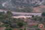 In video - Israeli forces raze lands, uproot dozens of olive trees in Battir
