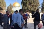 In video - Israeli settlers enter women's prayer space in Dome of the Rock