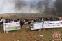 19 Palestinians injured by Israeli forces in al-Mughayyir