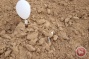 Incendiary balloon lands in southern Israel