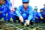 Construction Workers Protest and National Model Worker is Beaten in Chengdu, Sichuan
