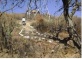Denuncian loteo en el cerro San Pedro en Cochabamba