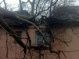 1 photo d'arbre tombé sur une maison à Manéglise, Normandie