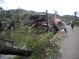 4 photos of destructed constructions and uprooted trees at Barbaza, Panay