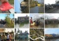 20 photos of floods and wind destructions at Roxas City and Sigma, Capiz