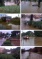 8 photos de voitures et maisons inondées au Lavandou