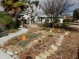 Lawn elimination & drought tolerant planting project - Ventura CA