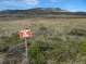 Isole Falkland: tra natura e ... incivilta&rsquo; !